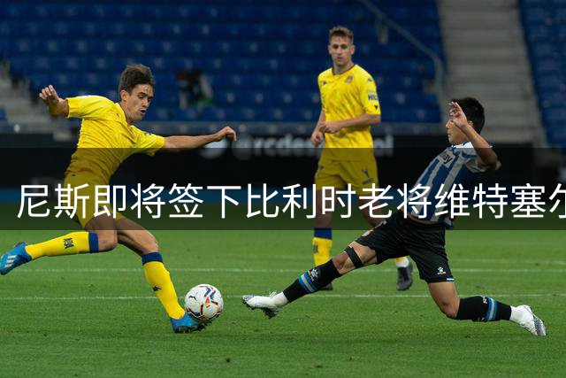 尼斯即将签下比利时老将维特塞尔 周一体检在即